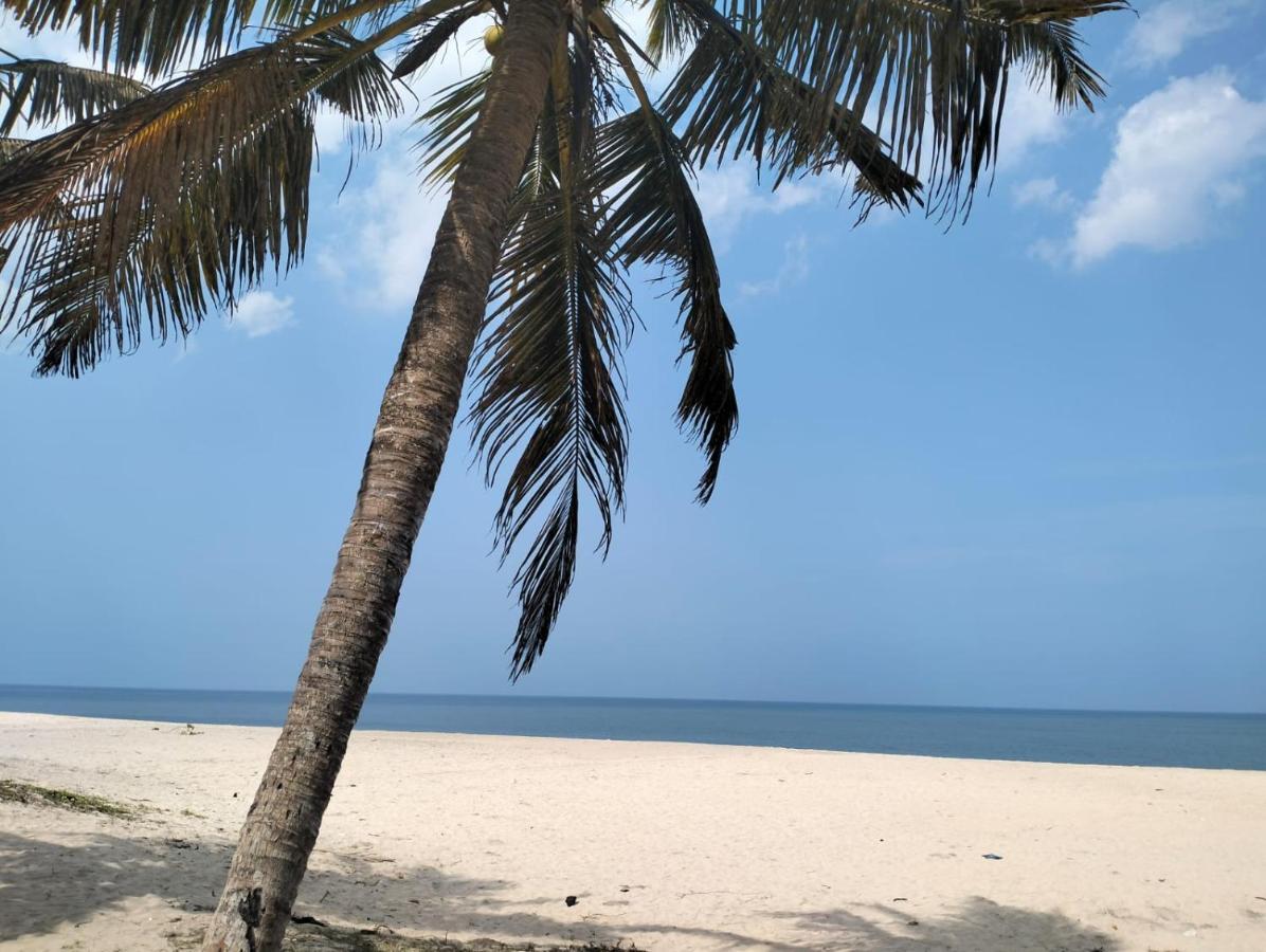 Marari La Rose Beach Homestay Mararikulam Extérieur photo